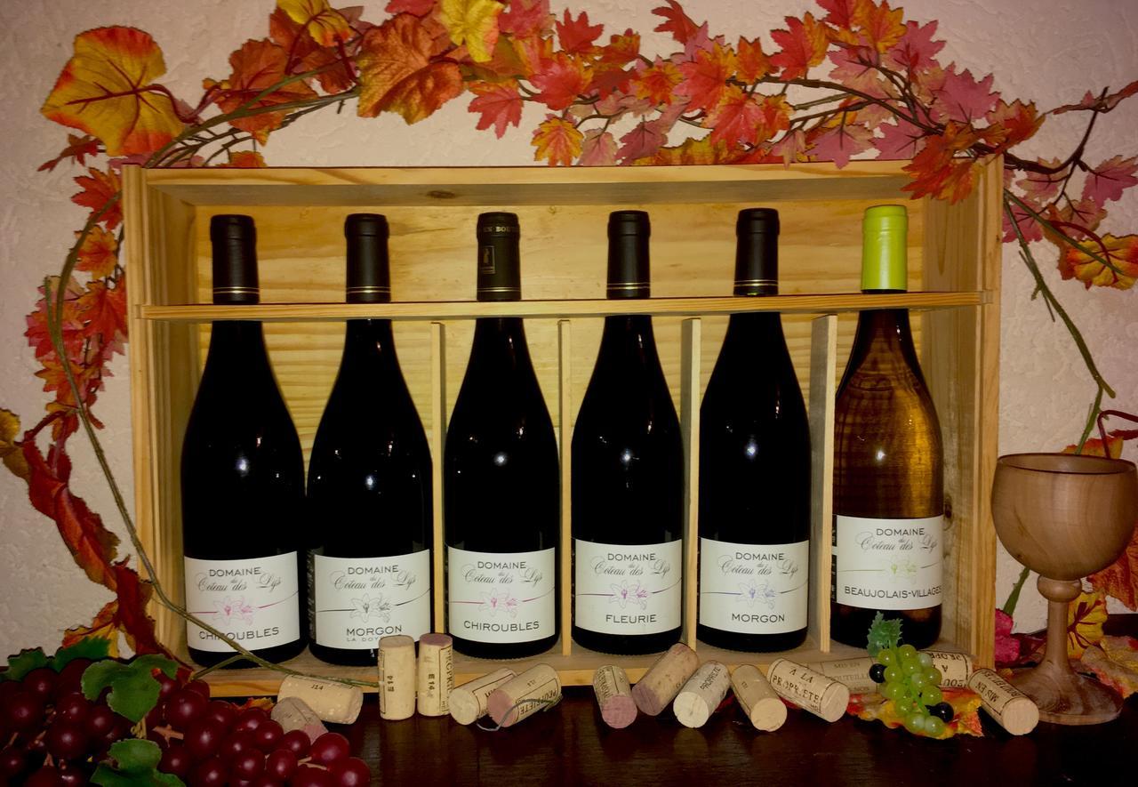 Domaine Du Coteau Des Lys Hotel Фльори Екстериор снимка